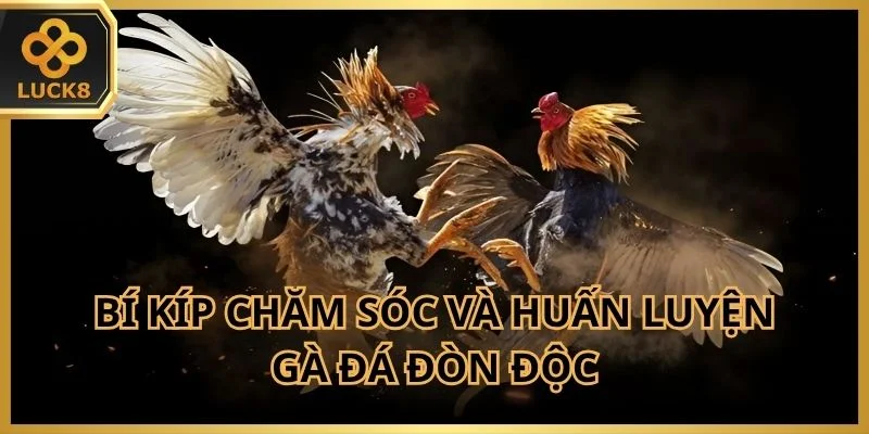 bi-kip-cham-soc-va-huan-luyen-ga-da-don-doc