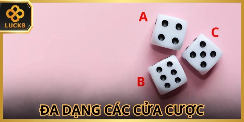 da-dang-cac-cua-cuoc-de-thanh-vien-xuong-tien