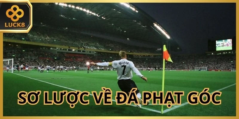 so-luoc-doi-net-ve-da-phat-goc