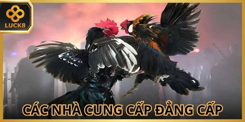 thanh-vien-co-nhieu-su-lua-chon-ve-sanh-cuoc